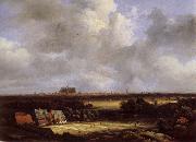 Jacob van Ruisdael View of Haarlem with Bleaching Grounds china oil painting reproduction